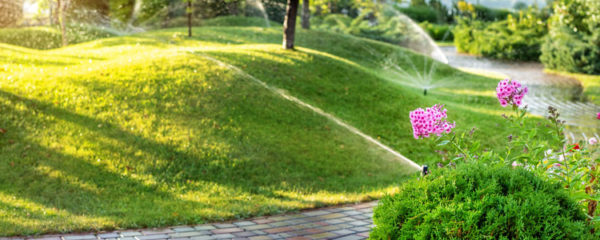 jardin